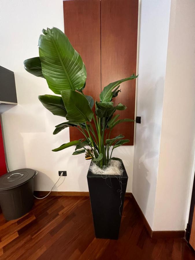 Effealatapartments - Appartamento Del Duca Σενιγκάλια Εξωτερικό φωτογραφία