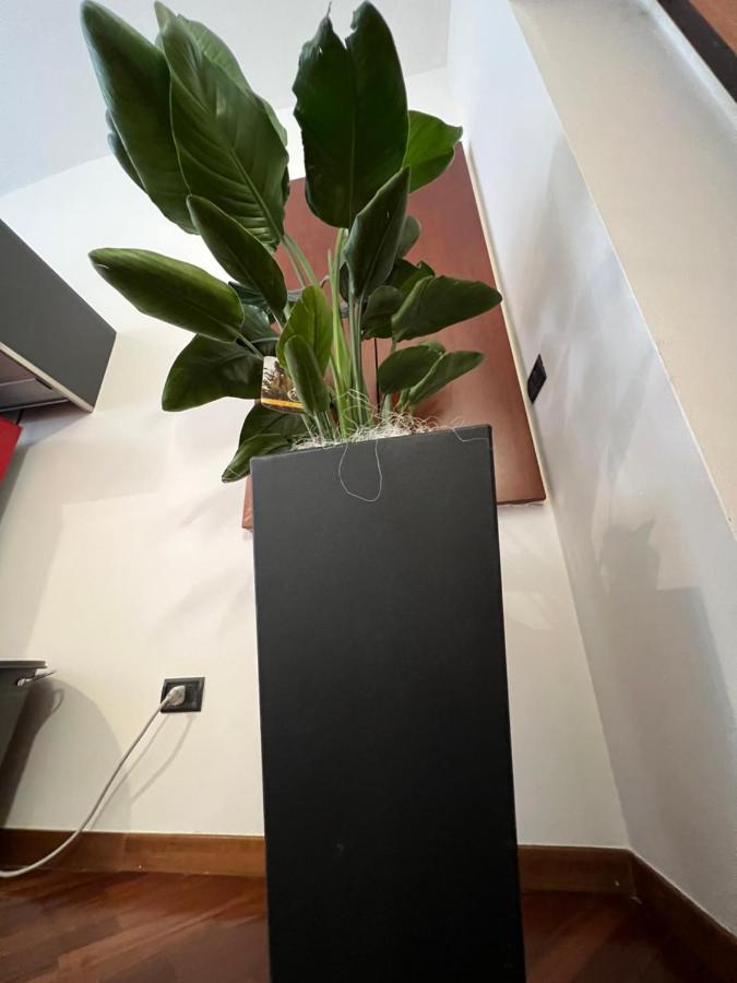 Effealatapartments - Appartamento Del Duca Σενιγκάλια Εξωτερικό φωτογραφία